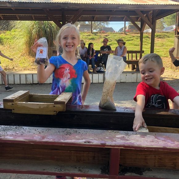 Meet your Posher, Leila - Picture 1 of 1